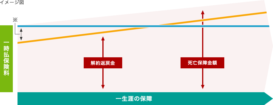 イメージ図 一時払保険料　一生涯の保障　解約返戻金　死亡保障金額