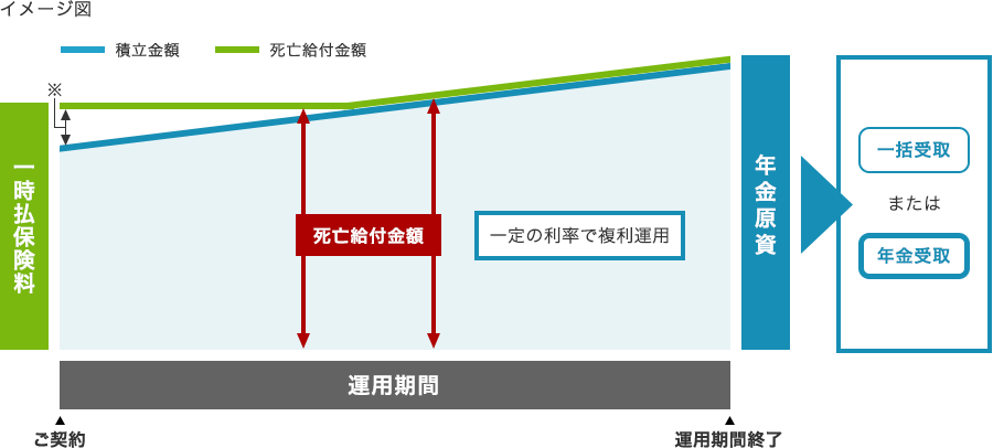 イメージ図 一時払保険料 一生涯の保障 解約返戻金 死亡保障金額