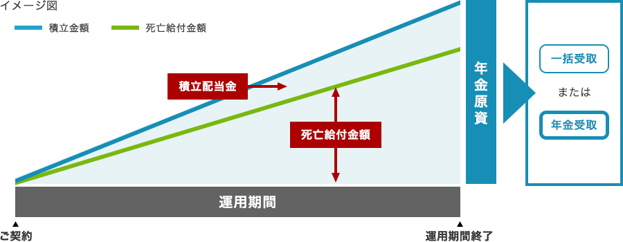 イメージ図 一生涯の保障 解約返戻金 死亡・高度障害保険金 保険料累計