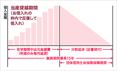 カードローン型