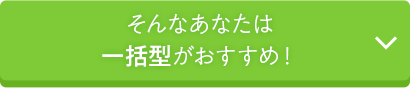 そんなあなたは一括借入れタイプがおすすめ！