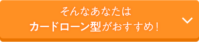 そんなあなたは都度借入れタイプがおすすめ！