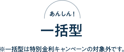 便利！都度借入れタイプ